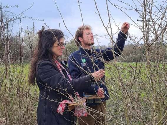 Les producteurs Mawagem récoltant des bourgeons sur leur domaine