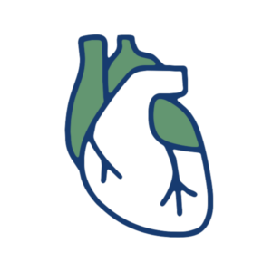Cardio-vasculaire