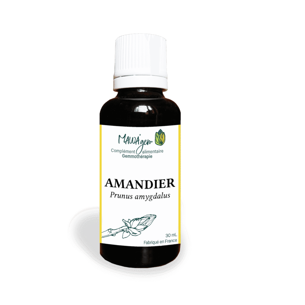 Amandier