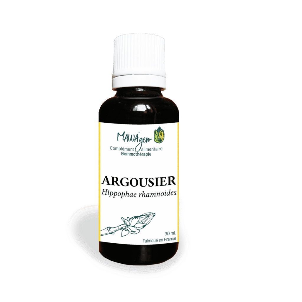 Argousier