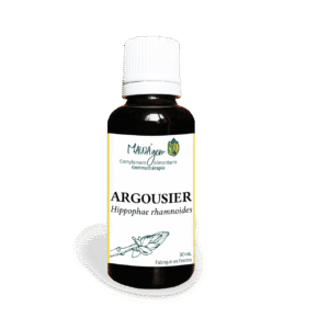 Argousier