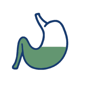 Digestion