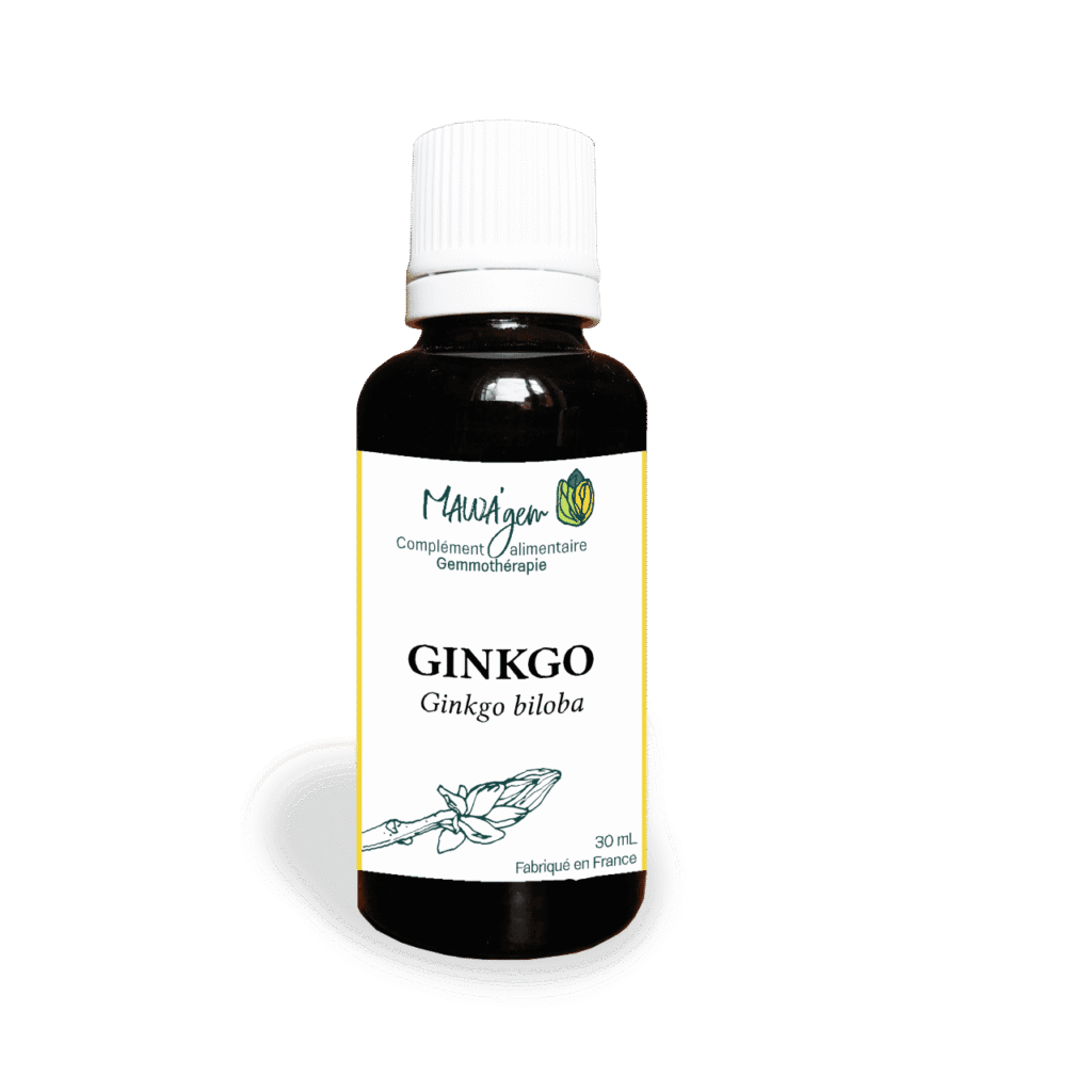 Ginkgo