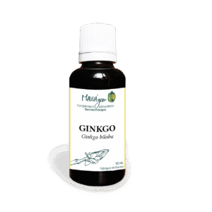 Ginkgo