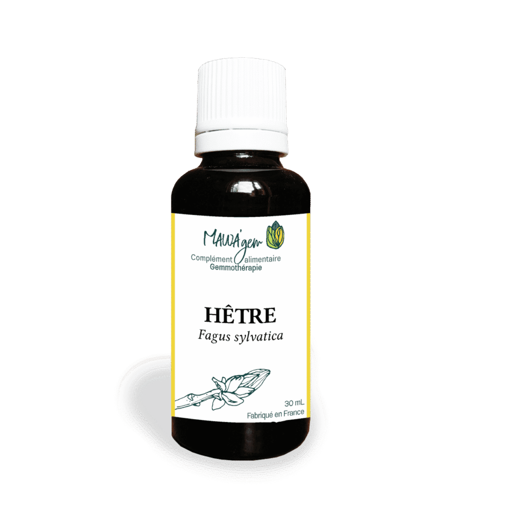 Hêtre