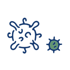 Immunité & allergies