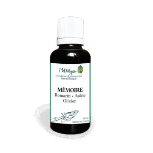 Mémoire