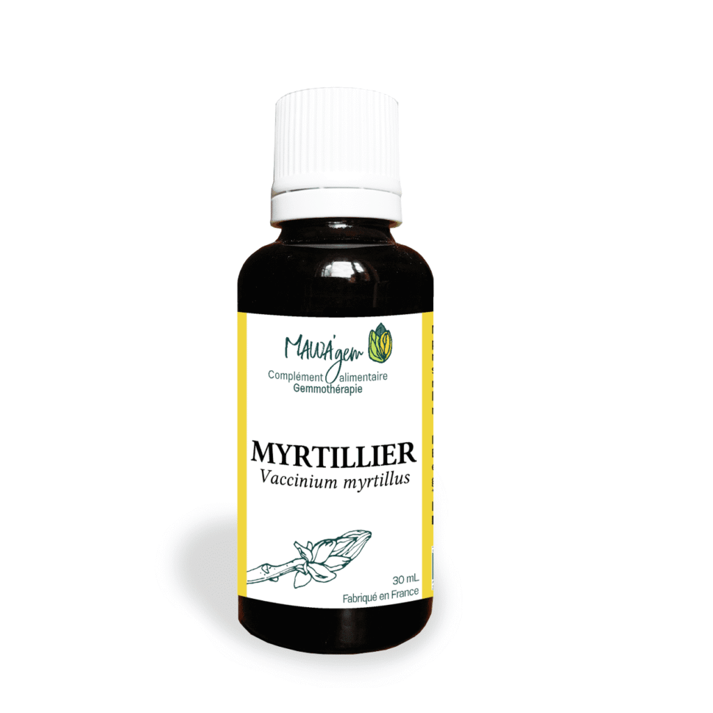 Myrtillier