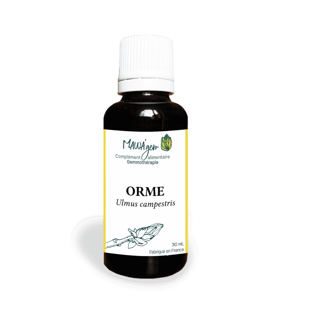Orme