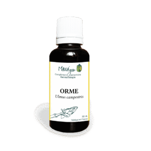 Orme