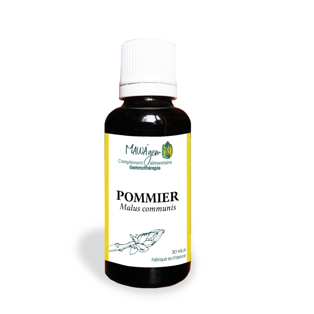 Pommier