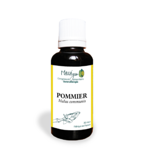 Pommier