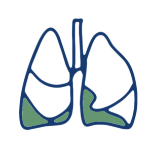 Respiration & ORL