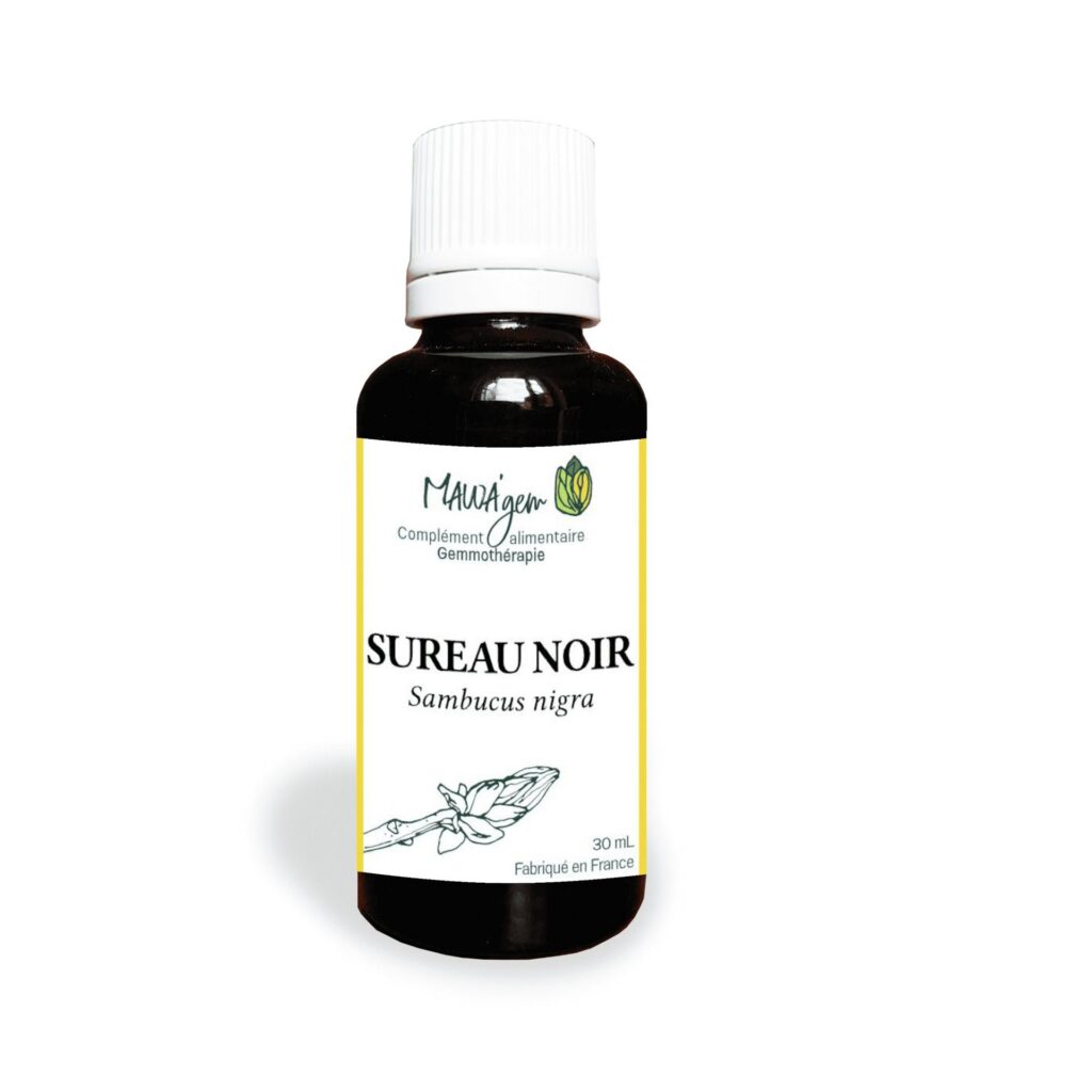 Sureau noir
