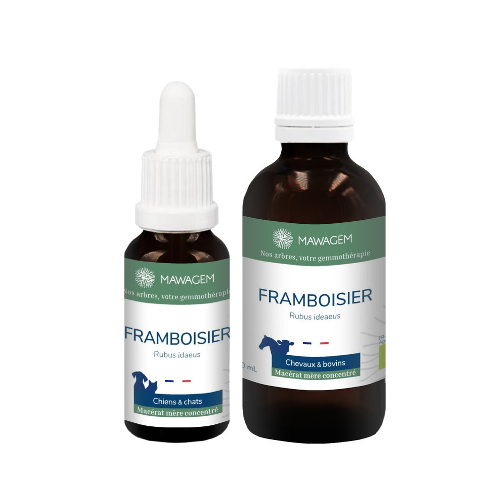 Framboisier