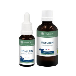 Romarin