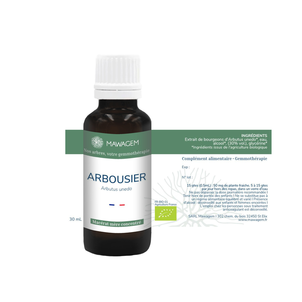 Arbousier