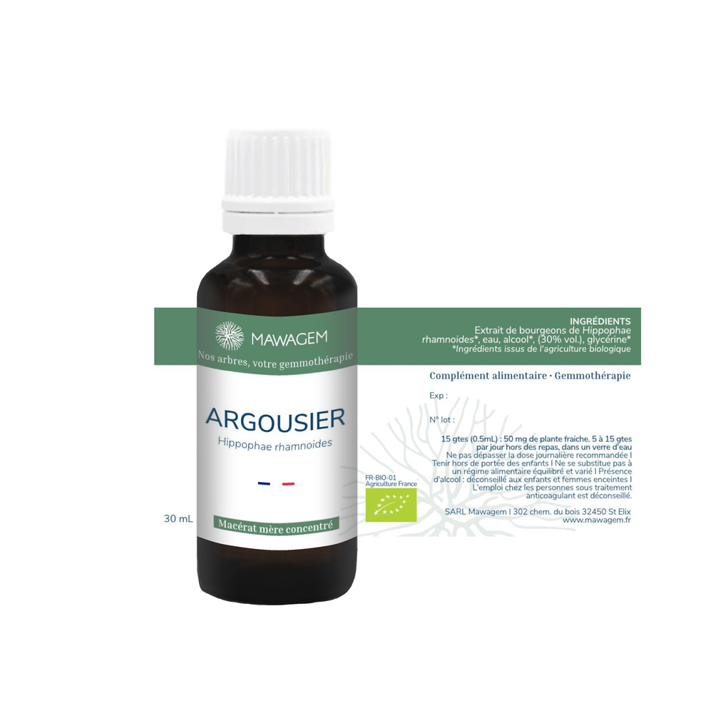 Argousier