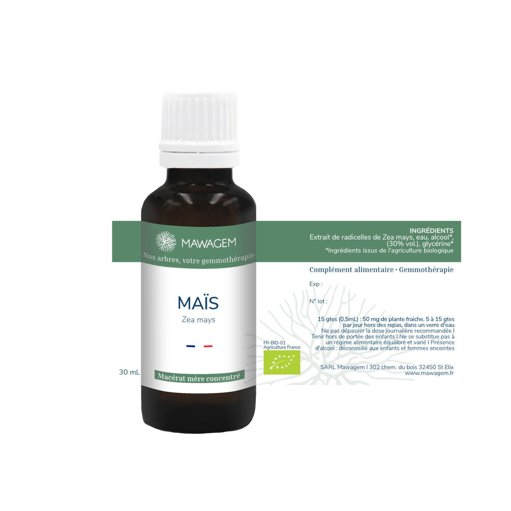 Maïs