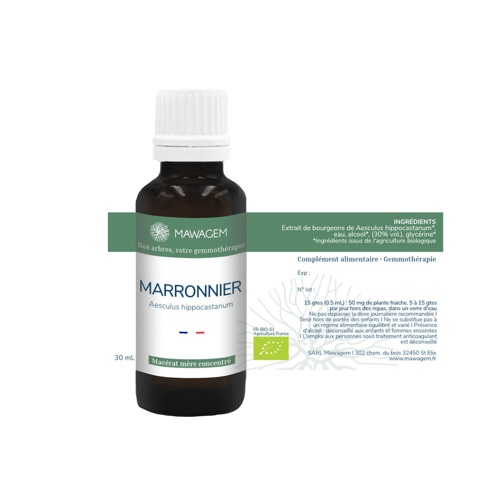 Marronnier
