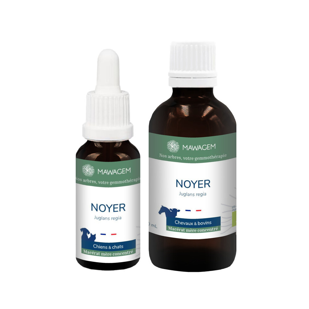 Noyer